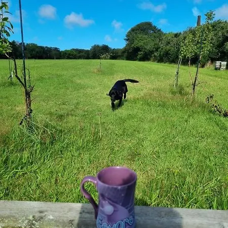 Luxury 5-Star Cornish Barn - Pets Very Welcome Camborne Extérieur photo