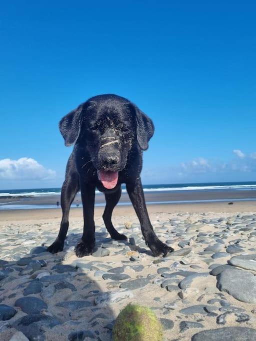 Holiday home Luxury 5-star Cornish Barn - Pets Very Welcome Camborne